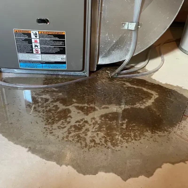 Appliance Leak Cleanup in Huntington Woods, MI